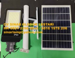 Lampu PJU Solar Cell 100 watt 2in1